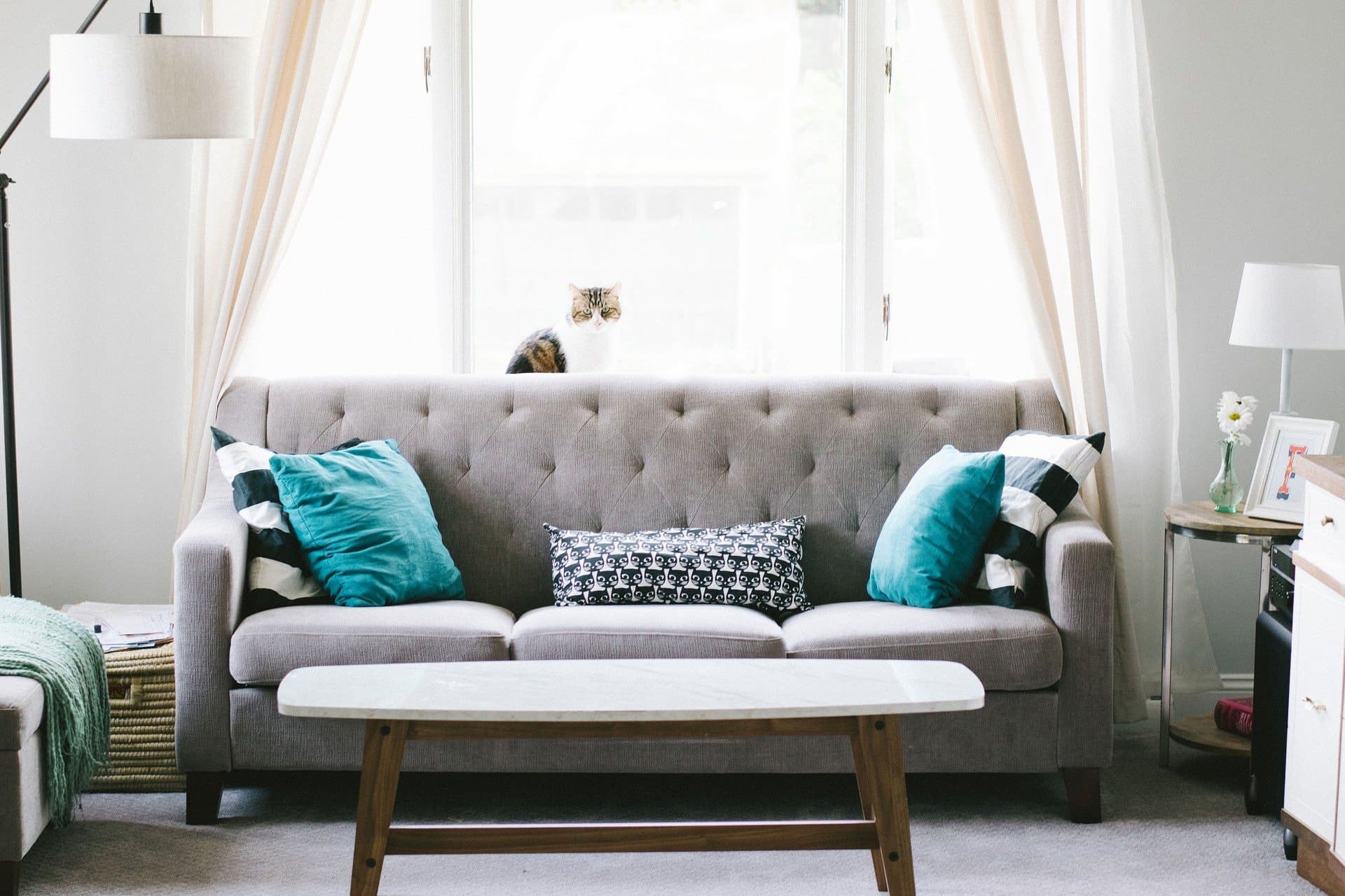 5 dicas para escolher a cor ideal para seu sofá